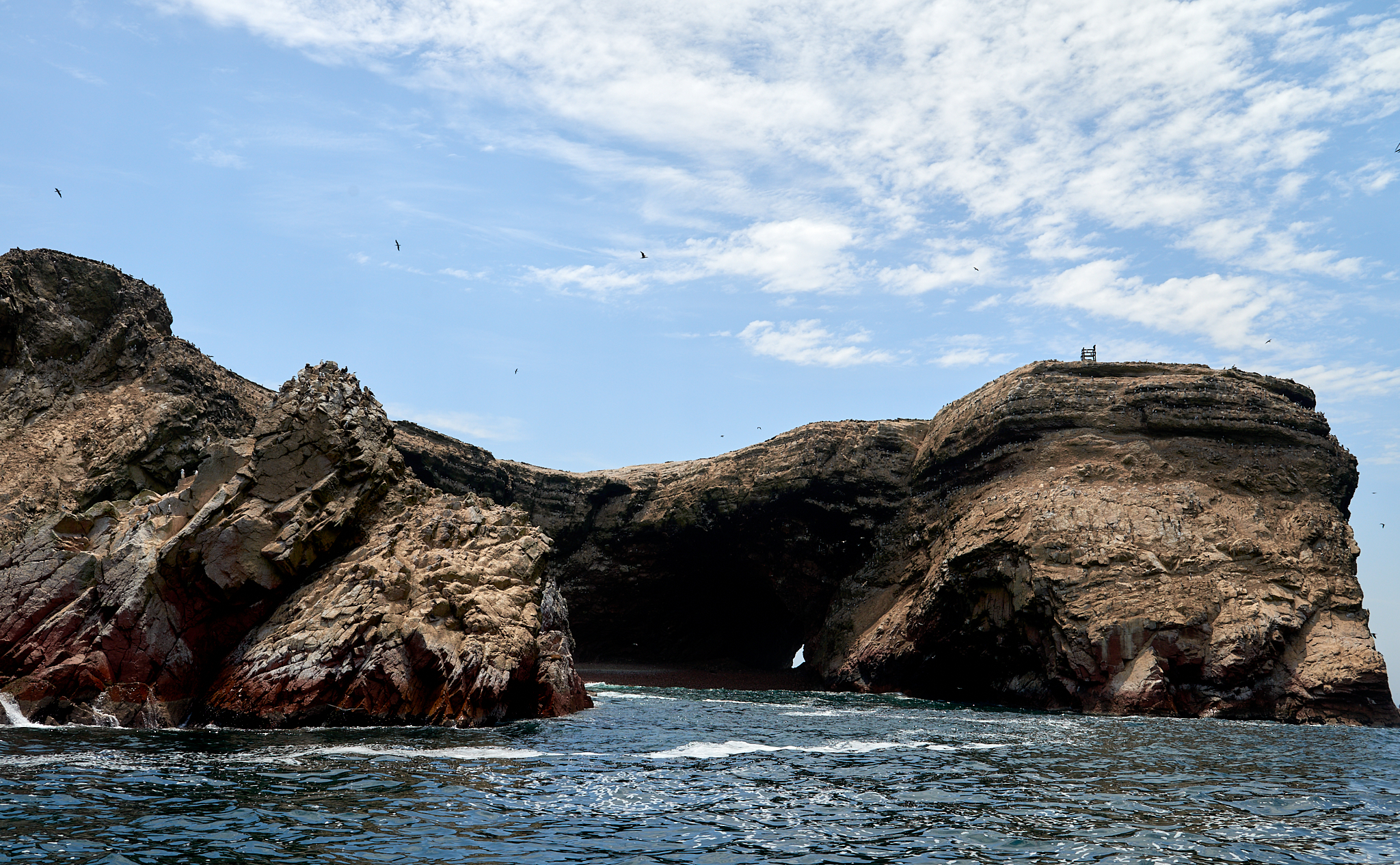 20200304 166 [페루] 바예스타섬